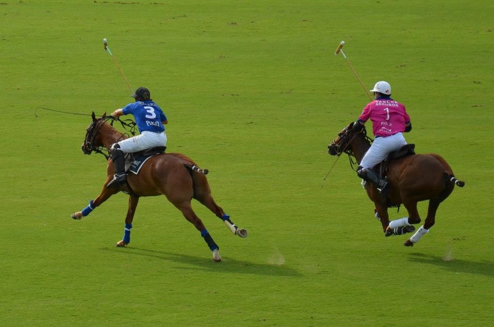 Campeonato Argentino Abierto de Polo