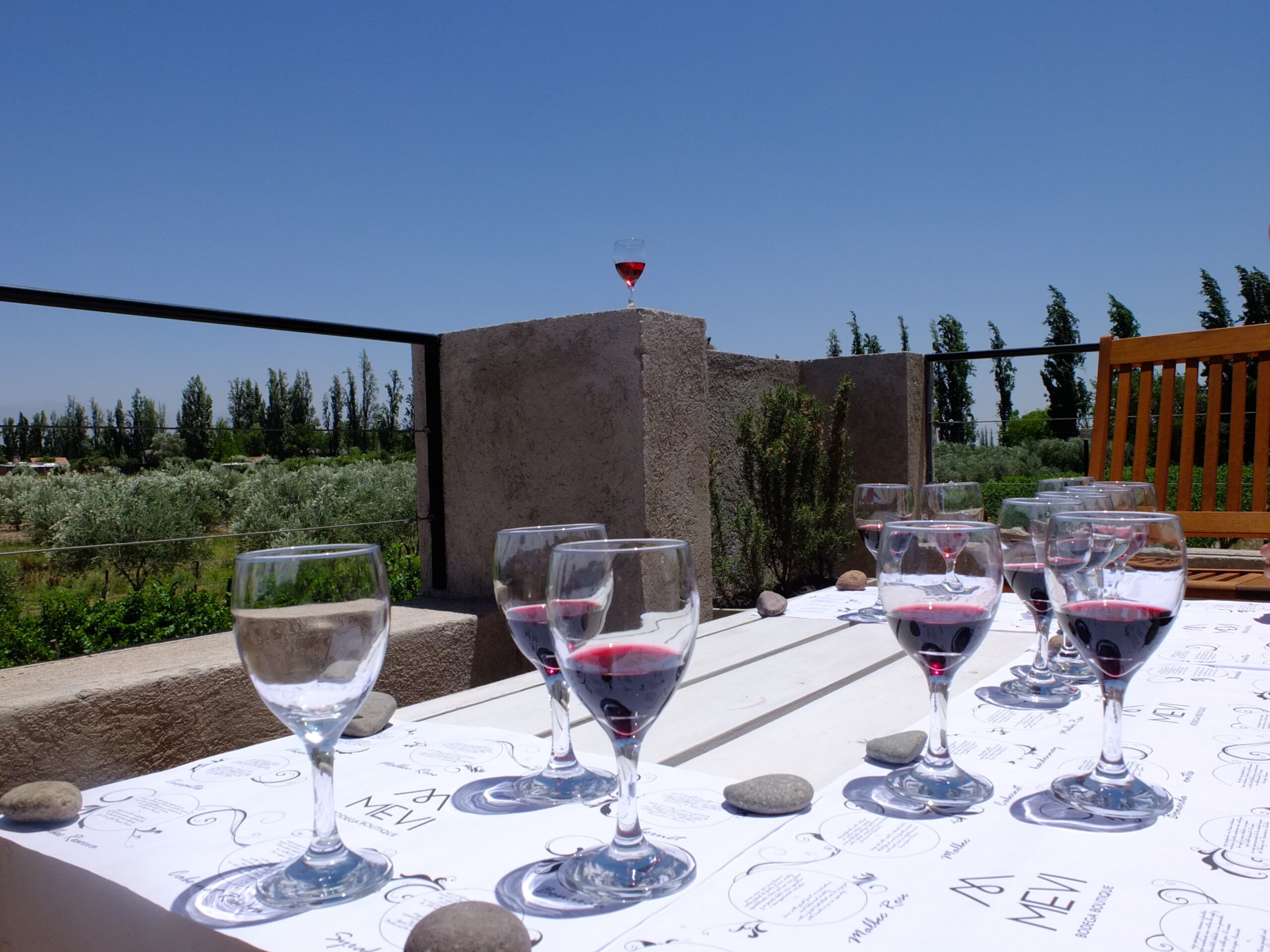 Mendoza: Activities and Hangovers