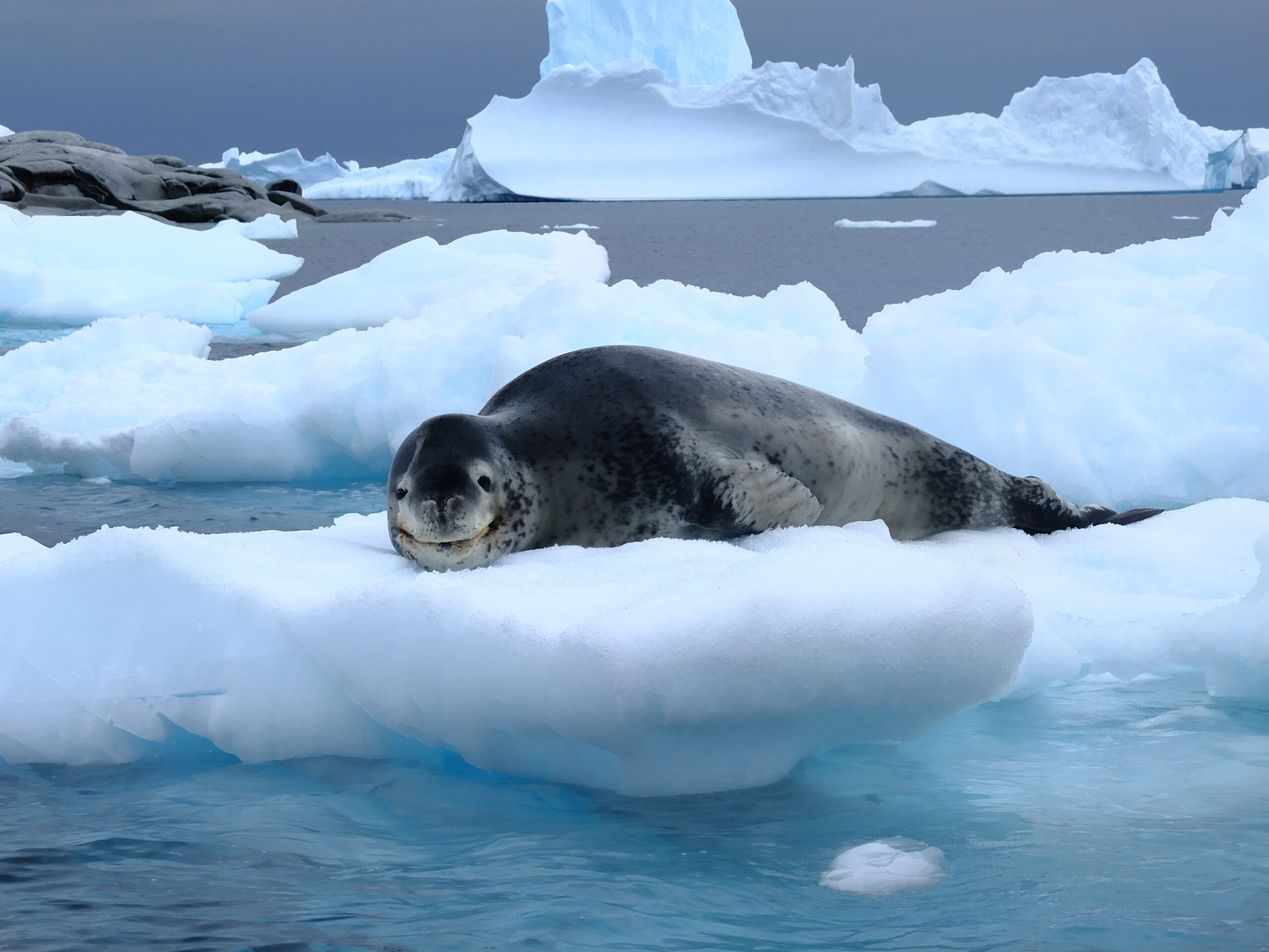 Antarktis – Der siebte Kontinent