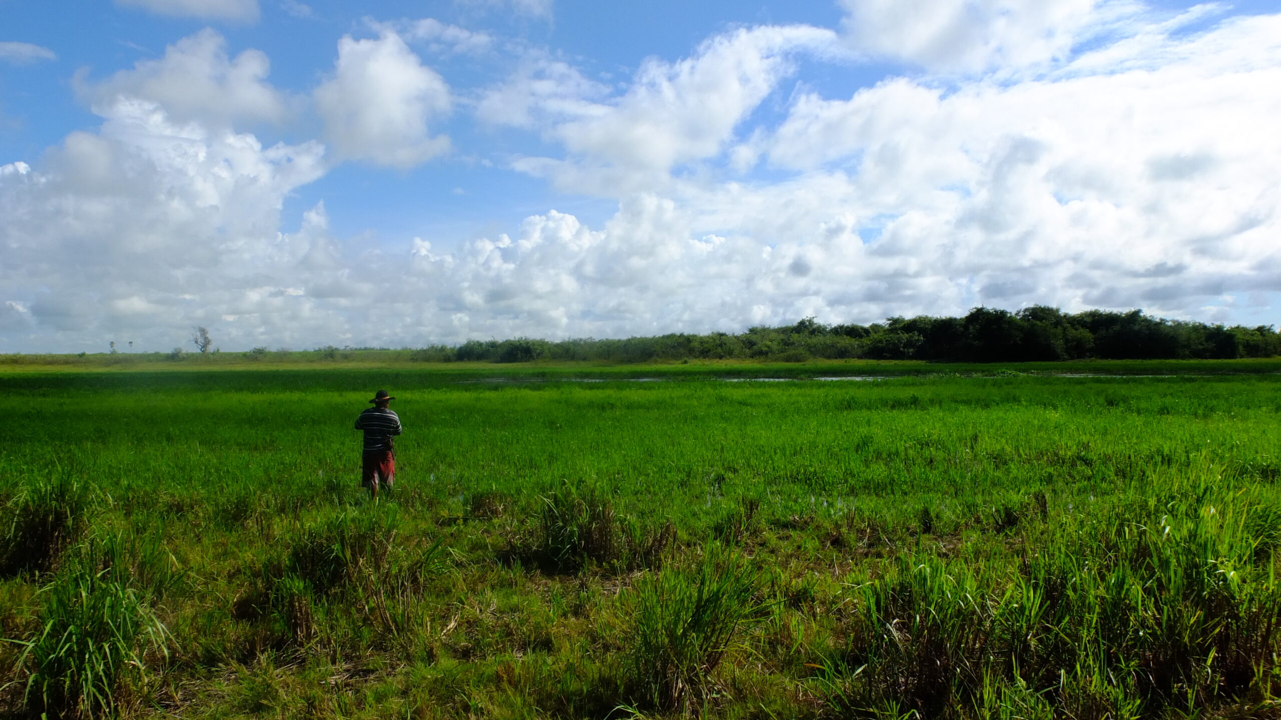 Pantanal: der Weg ist das Ziel